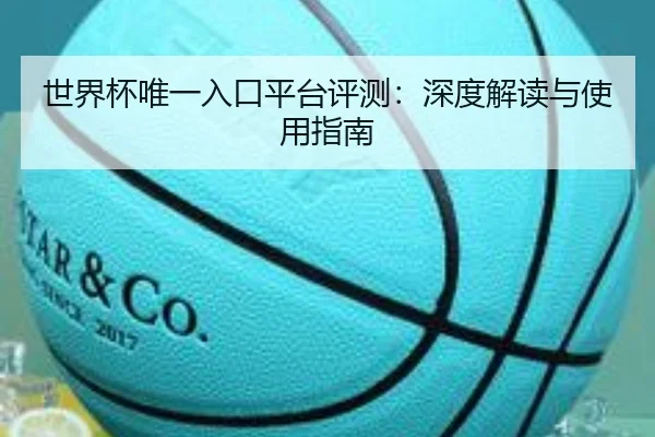 世界杯唯一入口平台评测：深度解读与使用指南